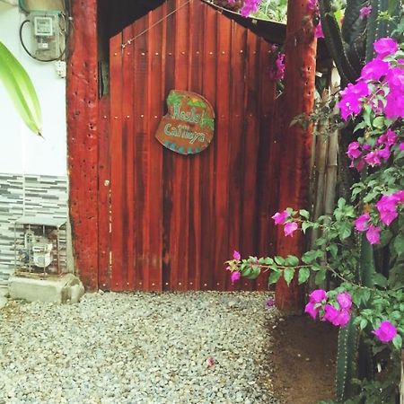 Hostel Cattleya Palomino Exteriér fotografie