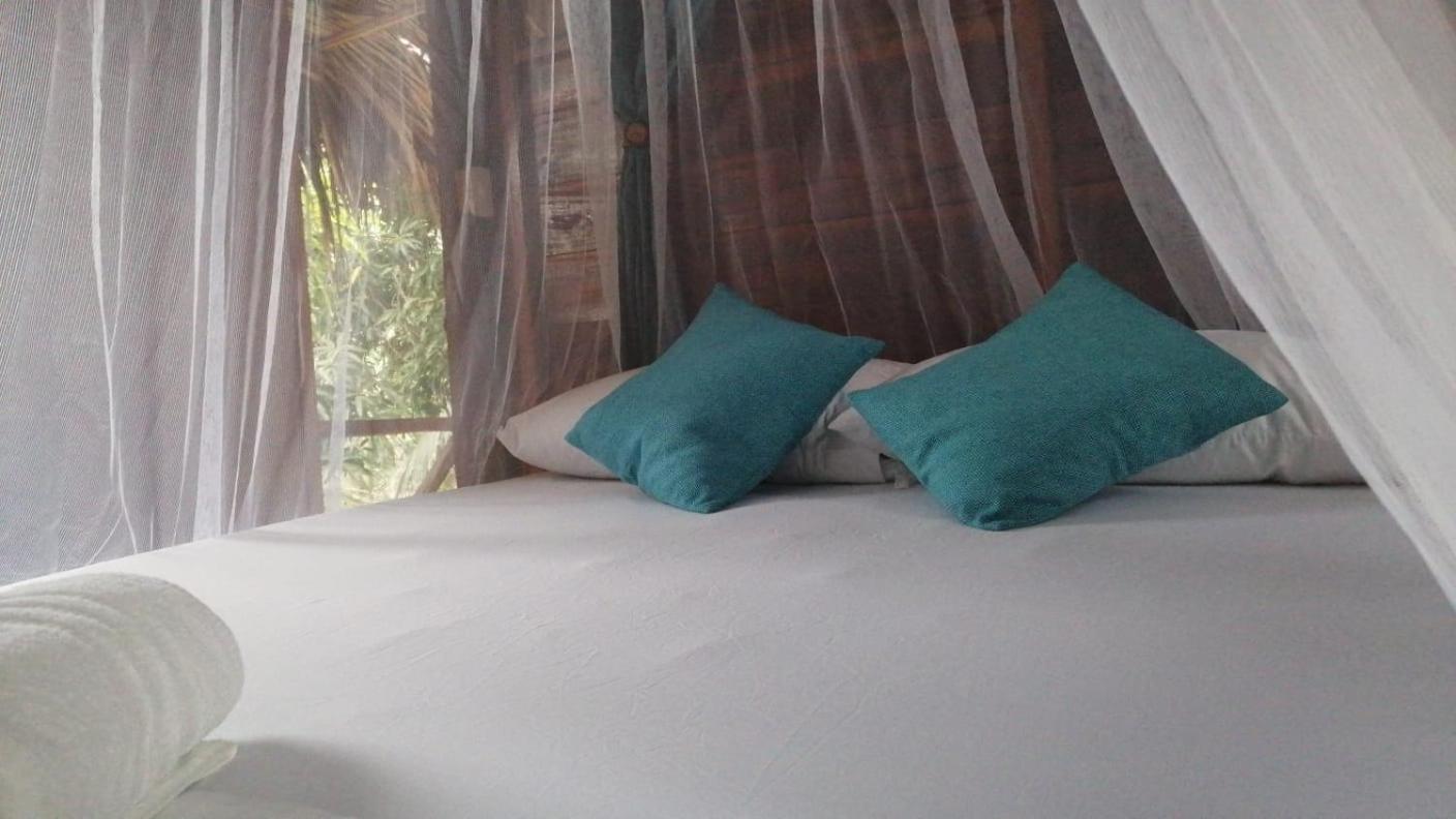 Hostel Cattleya Palomino Exteriér fotografie